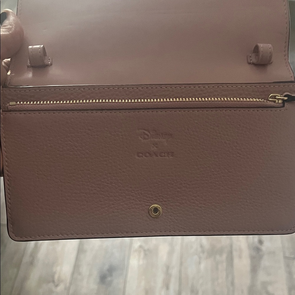 Coach x Disney - Picture 2 of 6